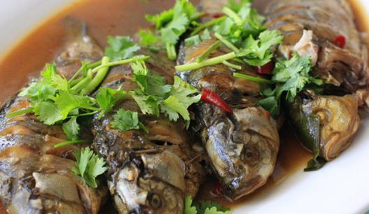 冬季養生魚類推薦：6款益效佳品