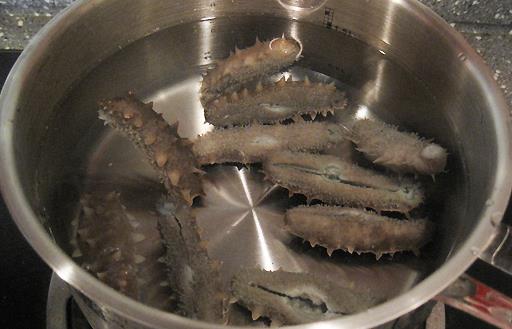 干海參營養價值與泡發方法全解析