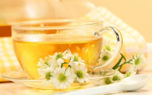 菊花茶功效与作用全解析：正确挑选与冲泡方法