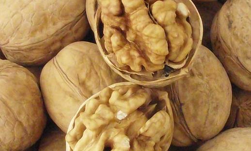 健脑补脑吃什么食物好?这6种健脑补脑食物名列前茅