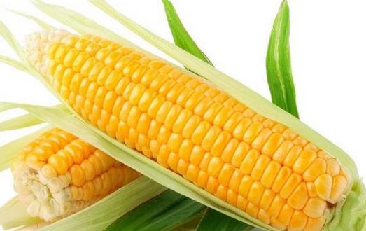 吃玉米防高血糖：2款养生食谱推荐