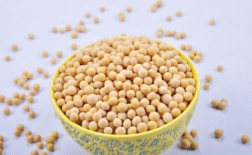 黄豆的功效与副作用解析