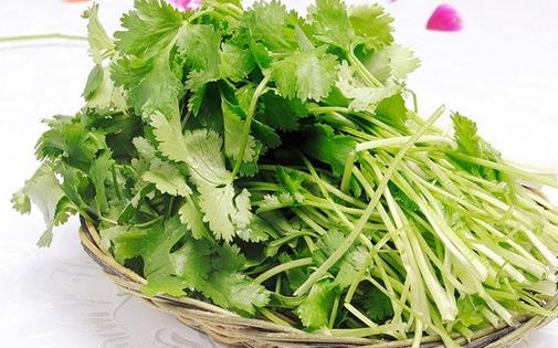 香菜的功效与作用及营养价值