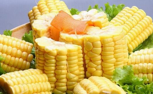 玉米的营养价值与药用价值盘点
