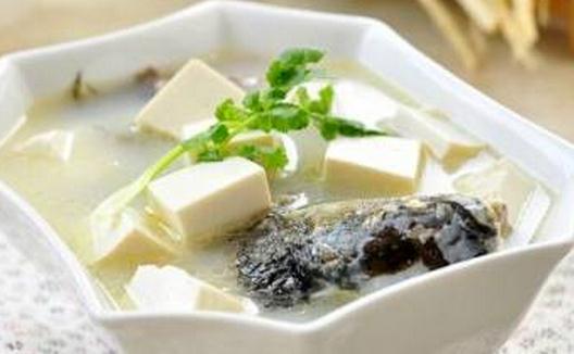 食用豆腐的5大功效與搭配注意事項