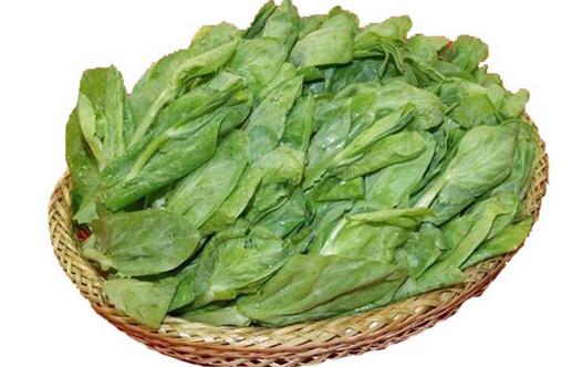 豌豆尖的功效与烹饪方法