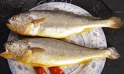 黃花魚營養價值與孕期食用指南
