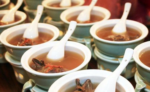 老鴿子的營養價值與食療功效