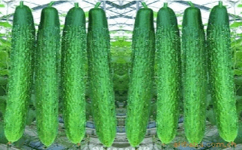 黄瓜的功效与作用