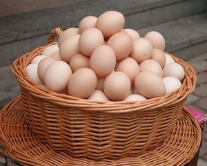 哪種蛋類營養價值最高？七種蛋類健康對比