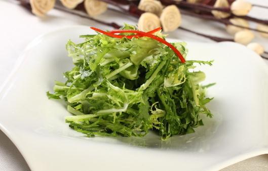 苦菊清涼下火：功效與作用全解析