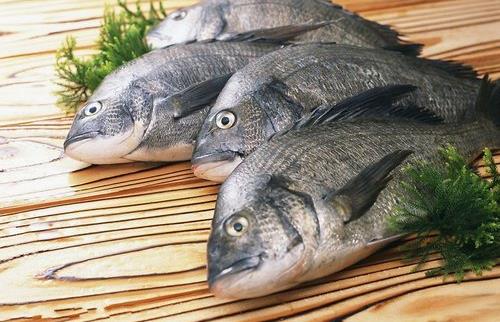 魚的營養在哪裡？5種寶貝級部位+正確洗魚技巧