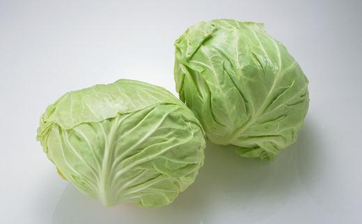 包心菜的功效与作用及食疗方