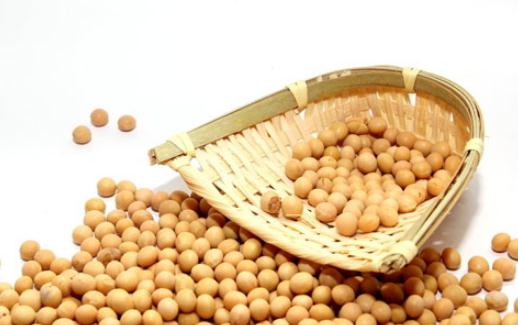 吃黄豆有什么好处?高蛋白营养价值與食用注意事項