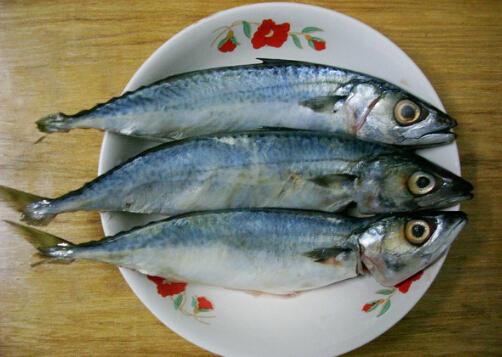 食用青占魚的注意事項與營養價值
