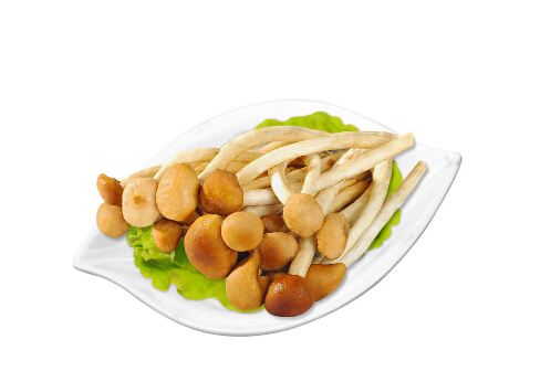 茶樹菇的烹調指南:兩道經典菜譜與健康功效