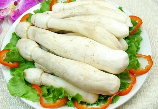 雞腿菇的家常做法與功效