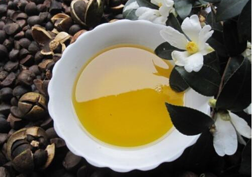 茶油的功效与作用及食用方法