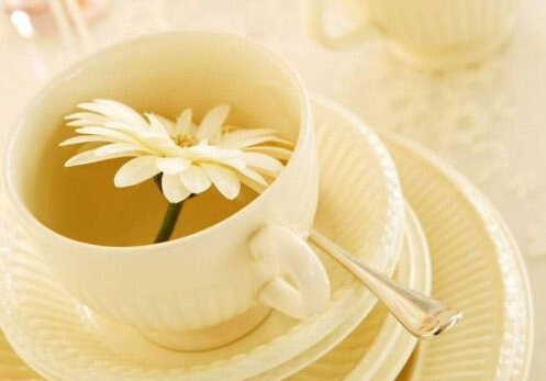 小孩能喝茶饮料吗？茶饮功效与注意事项