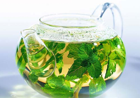薄荷茶的營養價值、功效與適用注意事項