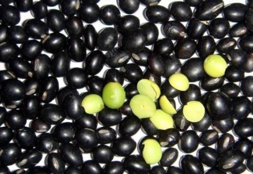 黑豆的營養價值、功效與適用人群