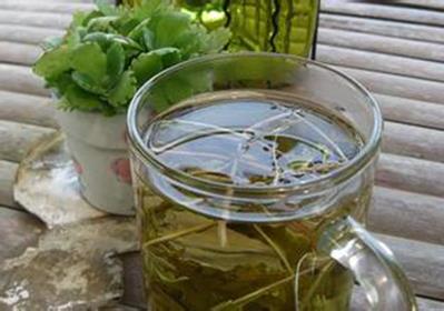 蒲公英泡水喝的功效与作用解析