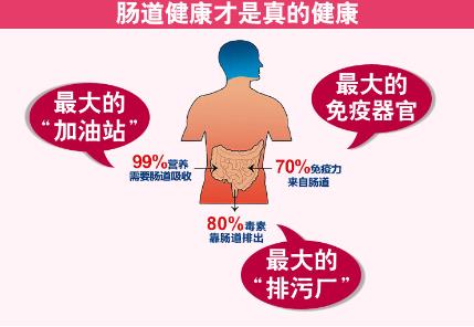 益生菌有必要买吗?全面解析益生菌的作用与选购