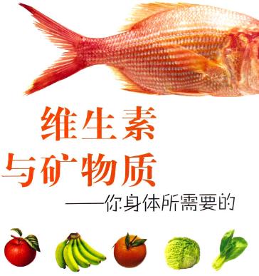 礦物質定義、作用與來源:含礦物質的食物全解析