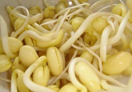 吃黄豆芽好吗？黄豆芽的营养价值、功效与作用全解析