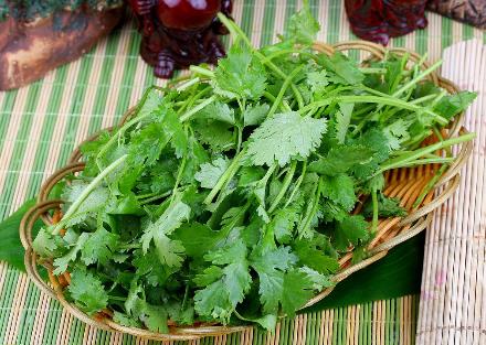 香菜怎麼吃？香菜的營養價值、功效與禁忌