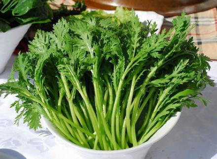 茼蒿怎麼做好吃?營養價值、功效與做法全解析