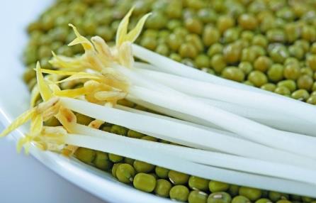 綠豆芽怎麼做好吃？營養價值、功效與作法全解析