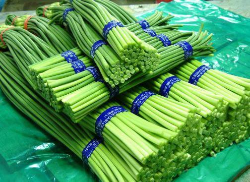 蒜苔怎麼做好吃？營養價值、功效與作法全解析