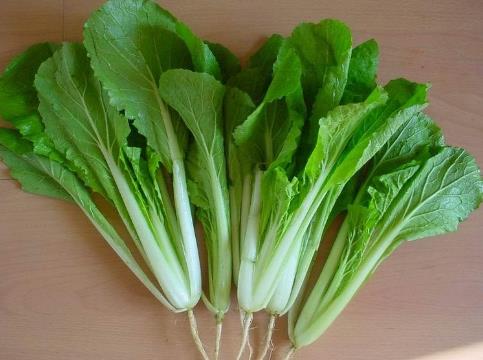 小白菜的营养价值与功效