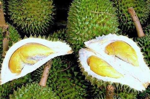 榴蓮的營養價值、功效與作用及食用禁忌