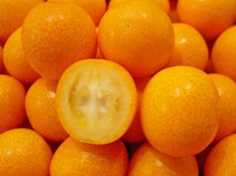 金桔營養價值、功效與食用禁忌全解