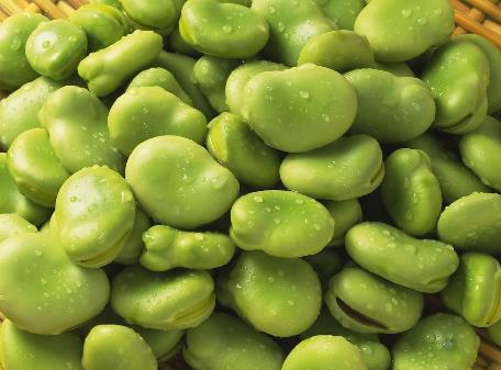 常吃蠶豆有什麼好處?蠶豆營養價值、功效與食用建議