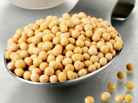 常吃黄豆有什么好处?黄豆的营养价值、功效与作用