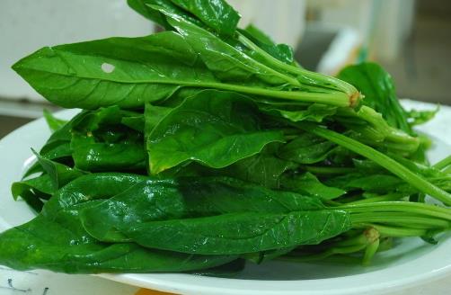 春季吃菠菜的好处与营养吃法