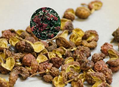 花椒的藥用價值與治療功效