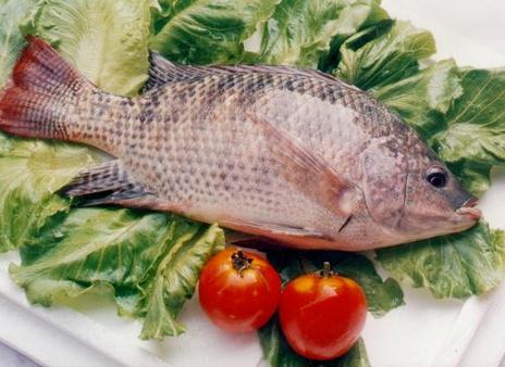 吃魚的營養價值與功效：帶魚護膚，體質對癥為上