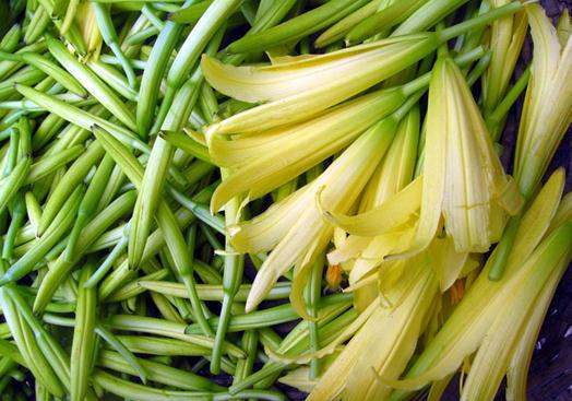 黃花菜營養價值、功效與食用注意事項