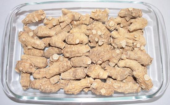 花旗參的功效與作用、用法及注意事項