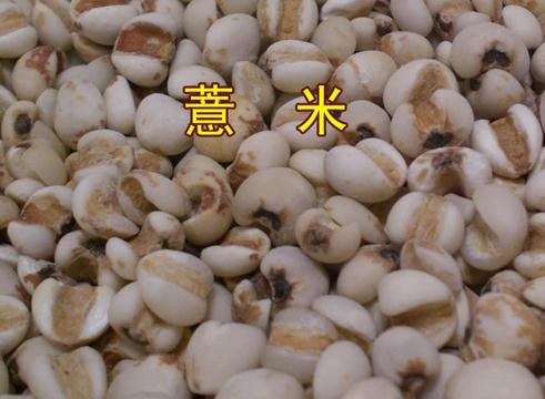 薏米的功效与作用