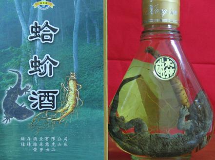 蛤蚧的功效與作用