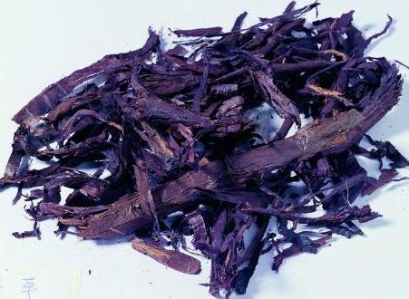 紫草的功效與作用:美容、藥理與應用