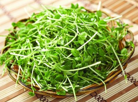 豆苗的功效與作用
