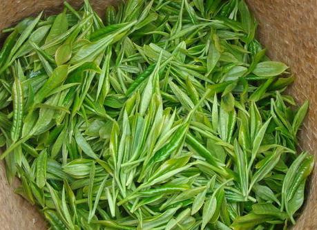 兒茶的功效與作用