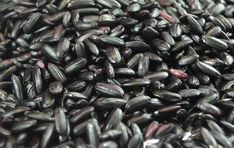 黑米的功效與作用 營養價值與食用建議