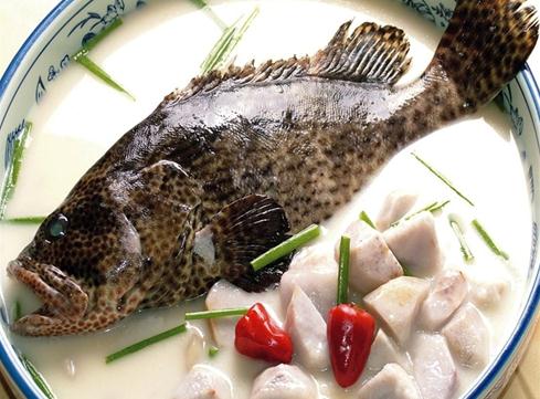 石斑魚的營養價值與食療功效